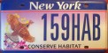 Nummernschilder / Kfz-Kennzeichen USA 2007 2000er New York NY