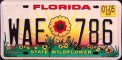 Nummernschilder / Kfz-Kennzeichen USA 1999 1990er Florida FL