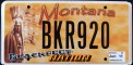 Nummernschilder / Kfz-Kennzeichen USA 2011 2010er Montana MT tribe