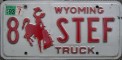 Nummernschilder / Kfz-Kennzeichen USA 1988 1980er Wyoming WY